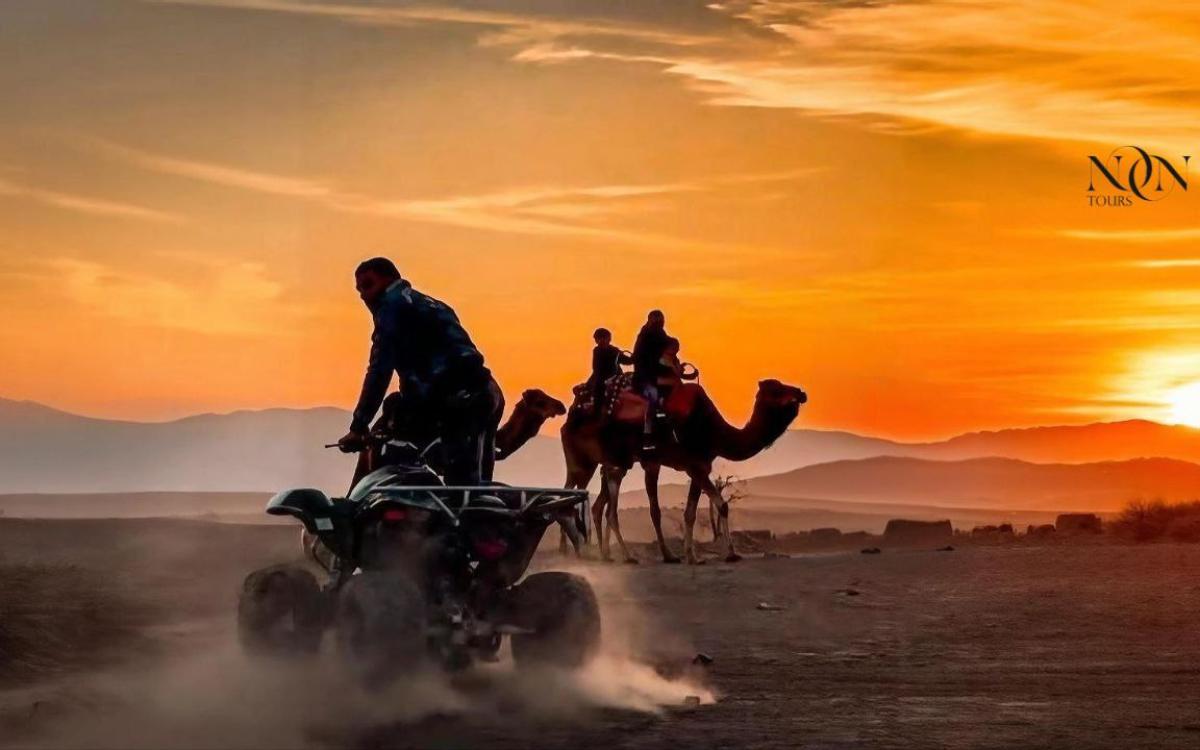 Buggy and Quad Bike Safari