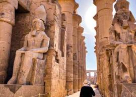 Luxor – Various Programs