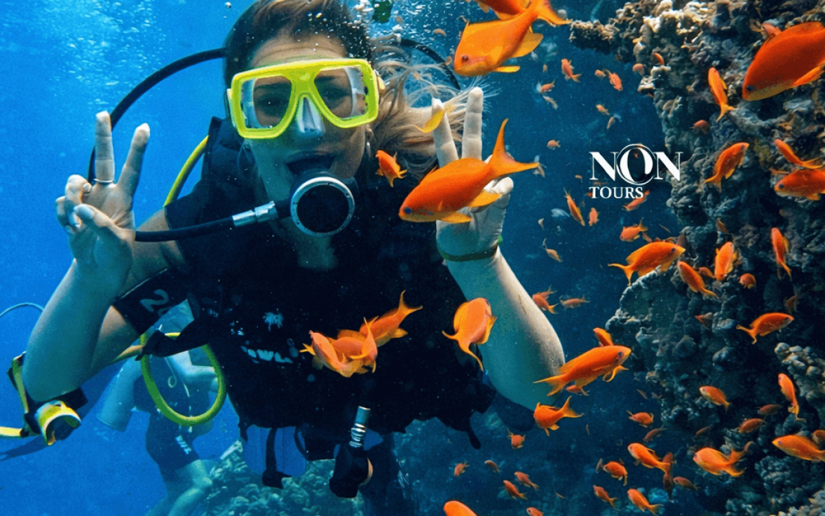 Sharm El Naga – Coral Reserve in Soma Bay