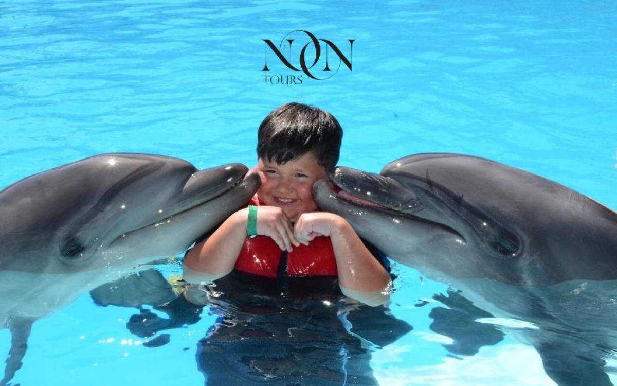 Swimming with dolphins