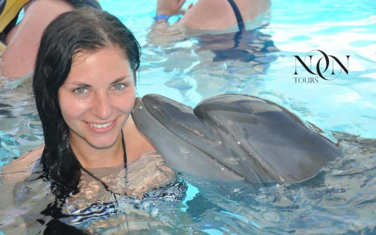 White Island and Evening Hurghada