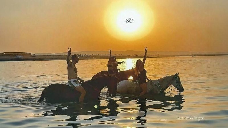 1Swimming with Horses in the Sea & Riding Tour