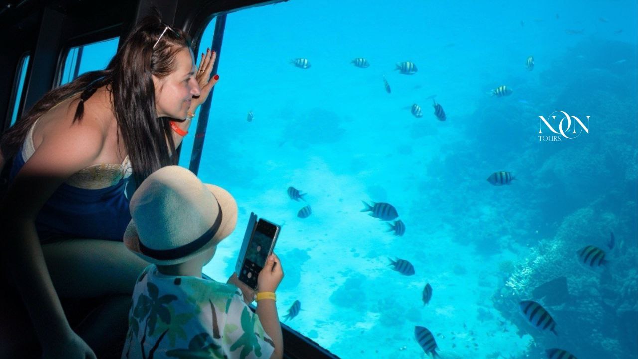 6seascope and Snorkeling. Semi-submarine