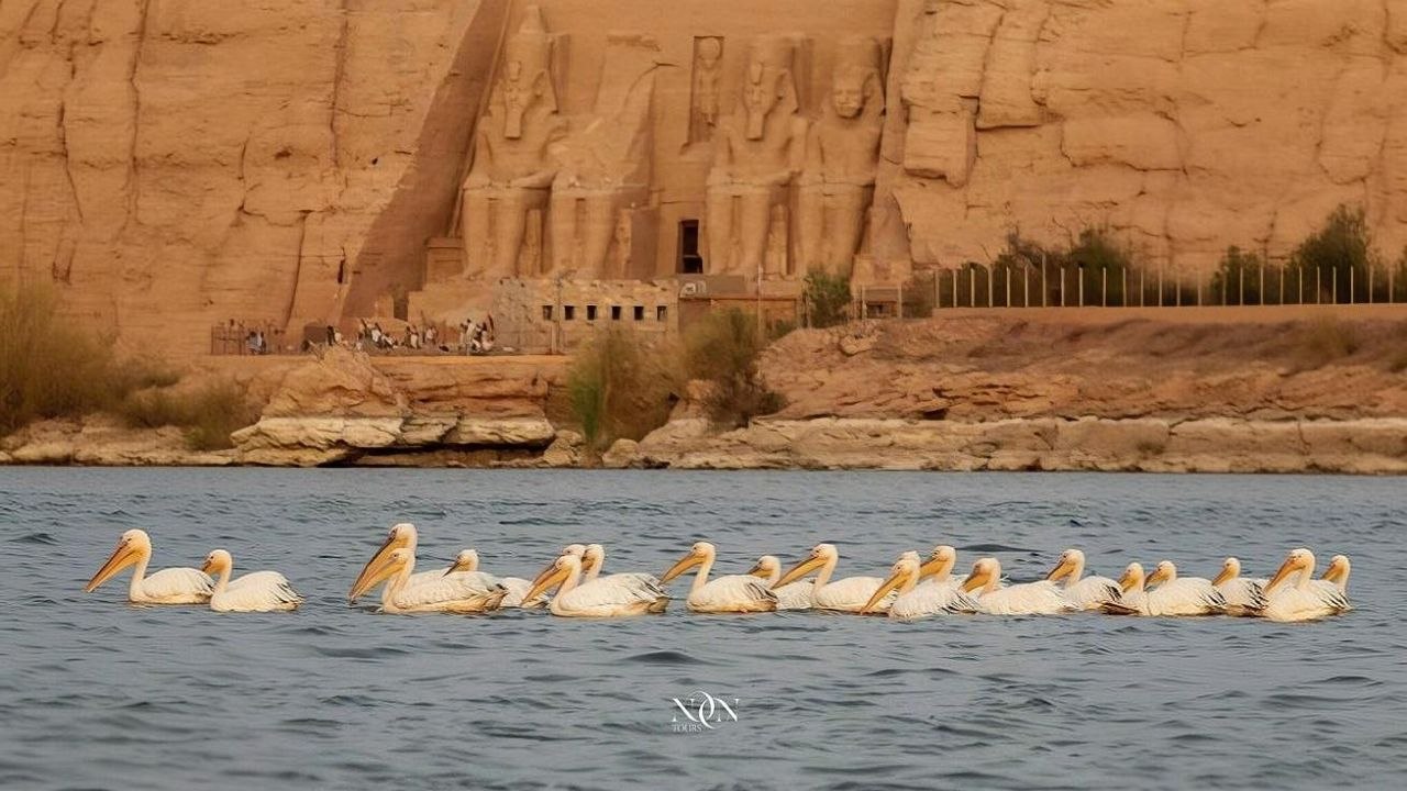 16Nile Cruise from Hurghada — 4 or 5 days