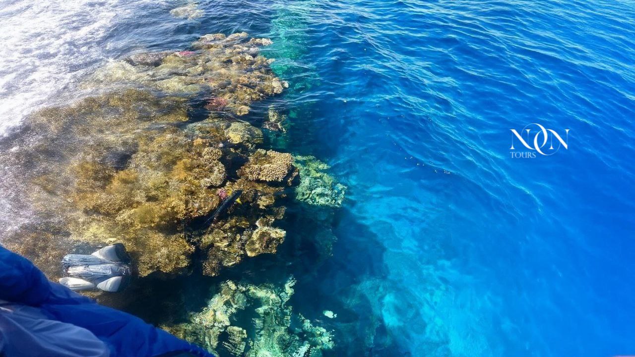 2Dolphin house in Hurghada