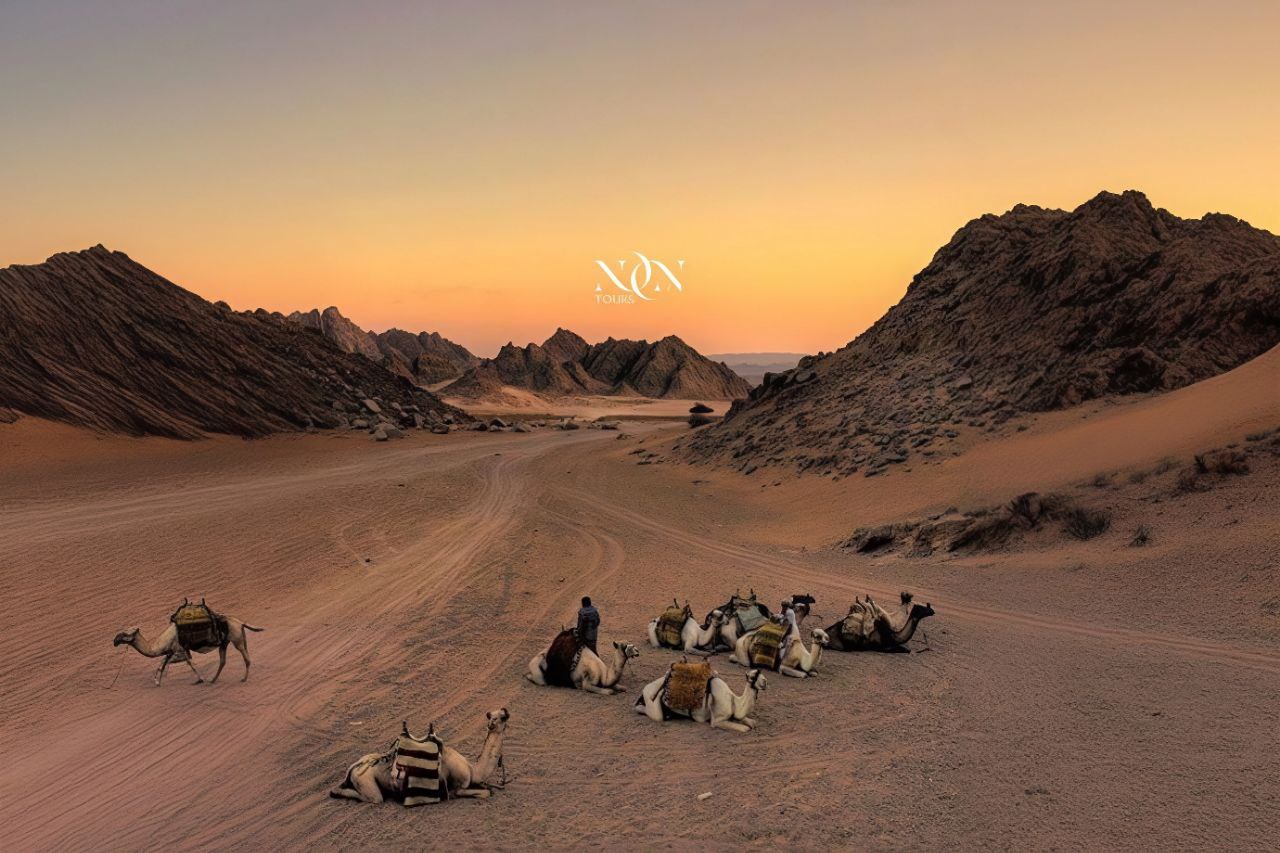 3Quad Bike Safari in Sharm El Sheikh