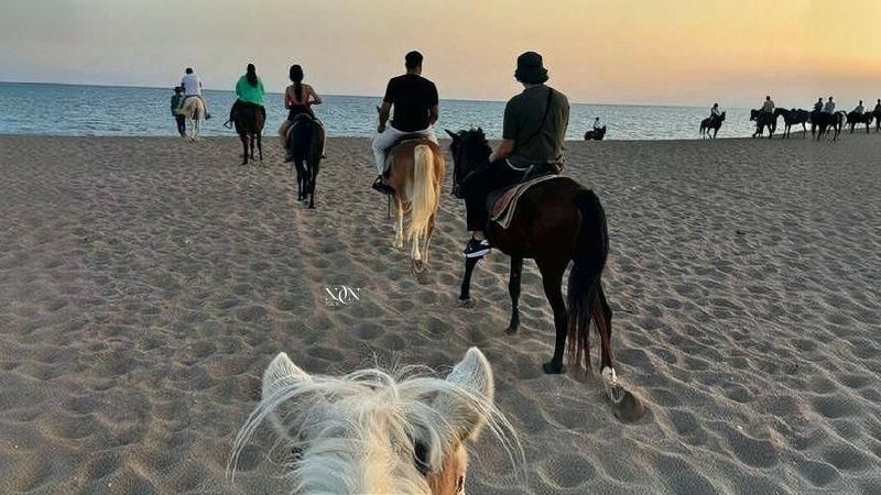 4Swimming with Horses in the Sea & Riding Tour