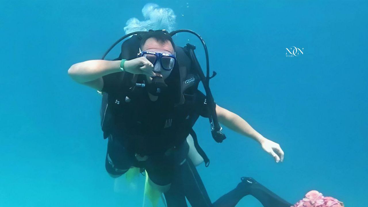 5Diving-Full-day (2 dives of 15 minutes each)