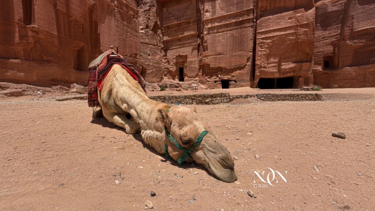 5Petra – Jordan