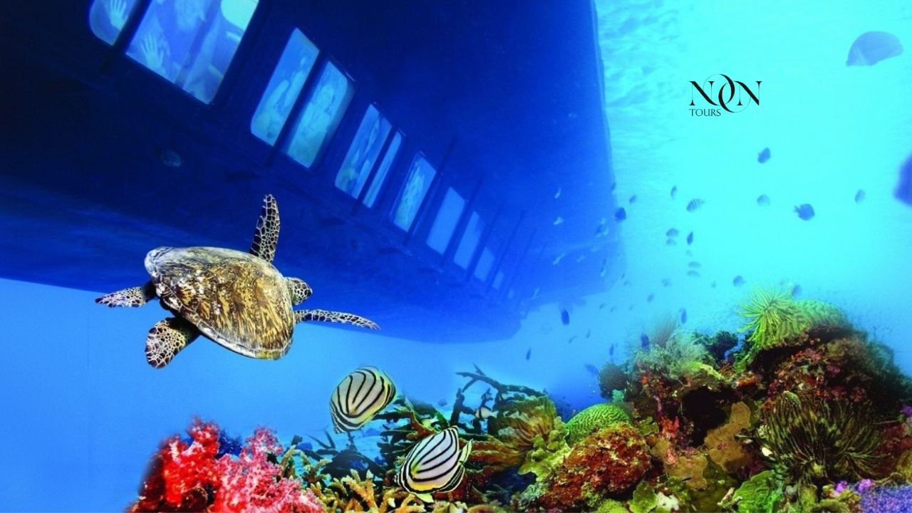 5submarine seascope in sharm elsheikh