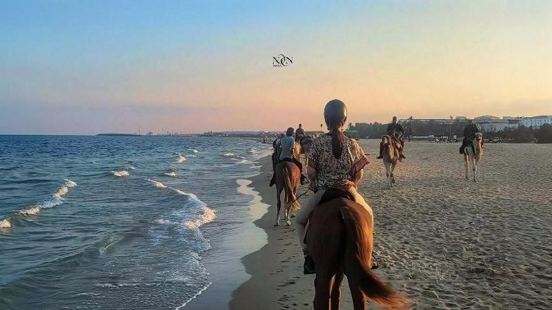 5Swimming with Horses in the Sea & Riding Tour