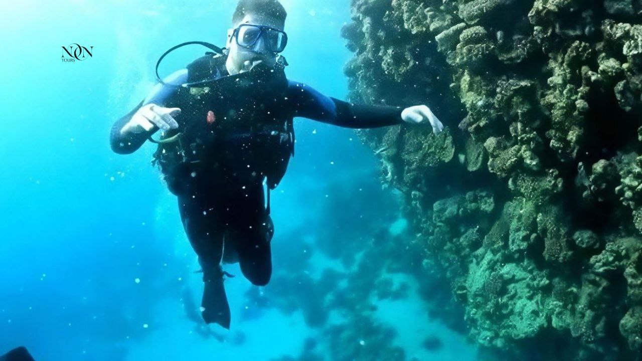 6Diving-Full-day (2 dives of 15 minutes each)