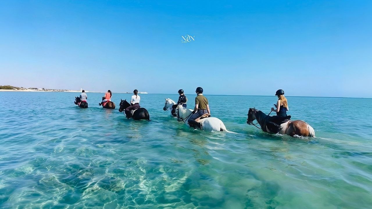 6Swimming with Horses in the Sea & Riding Tour