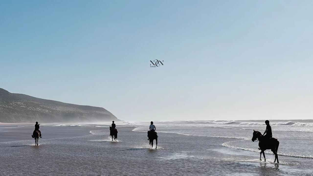 7Swimming with Horses in the Sea & Riding Tour