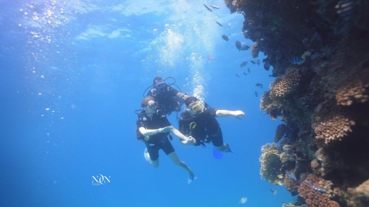 8Diving-Full-day (2 dives of 15 minutes each)